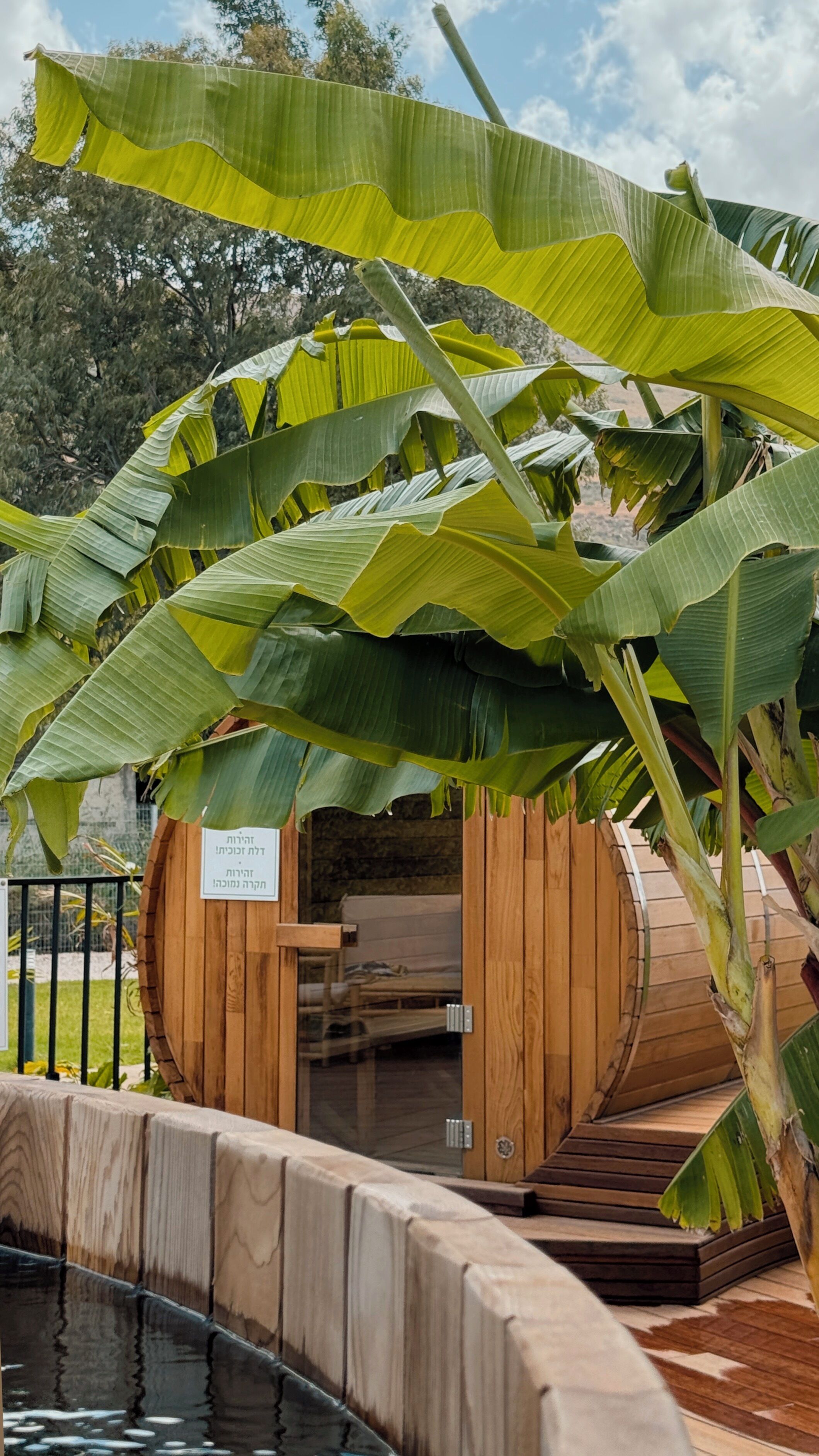 A wooden structure with a sign, surrounded by large banana leaves.