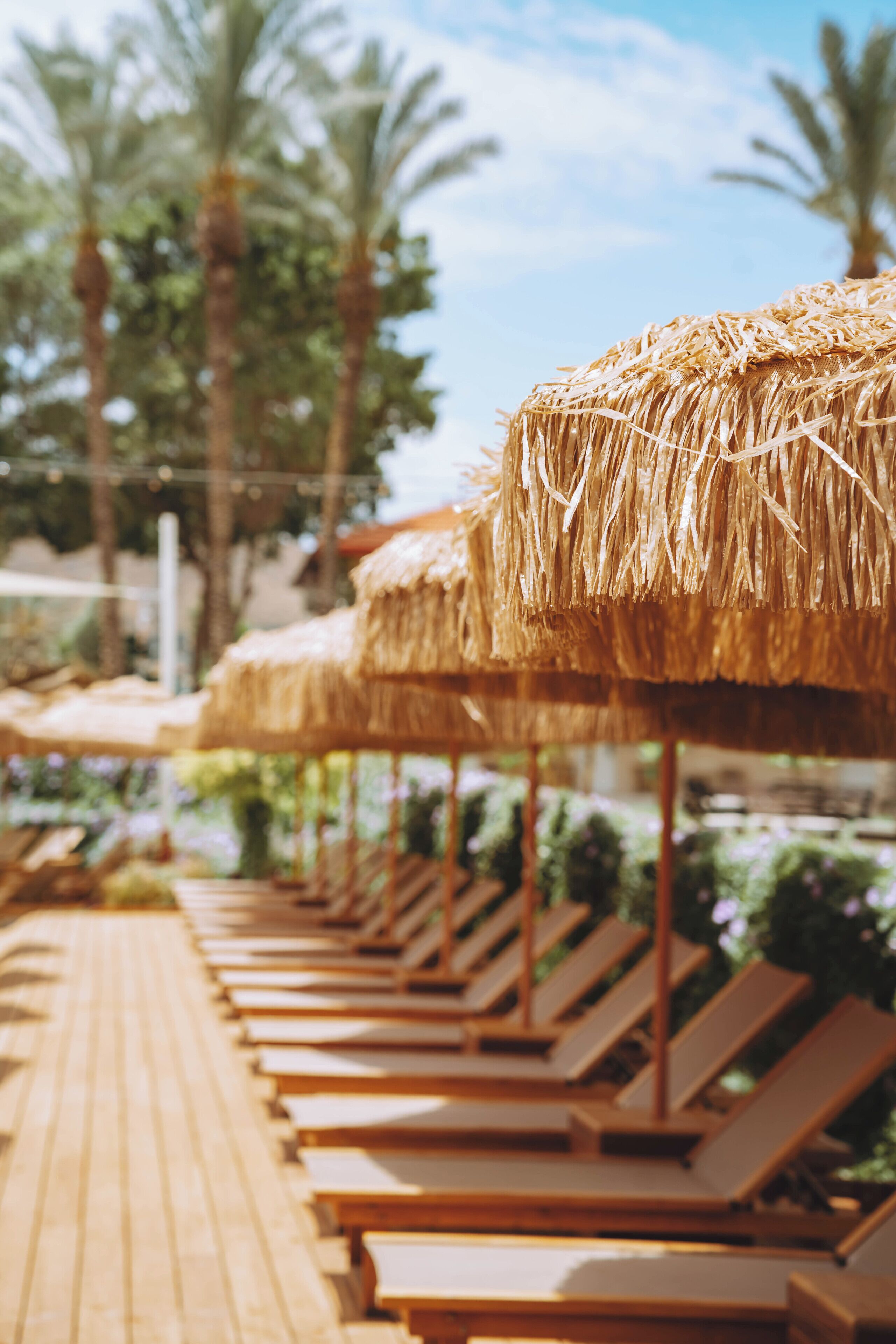 Een rij ligbedden met rieten parasols, een houten terras en palmbomen op de achtergrond.