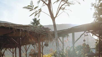 Beach bar
