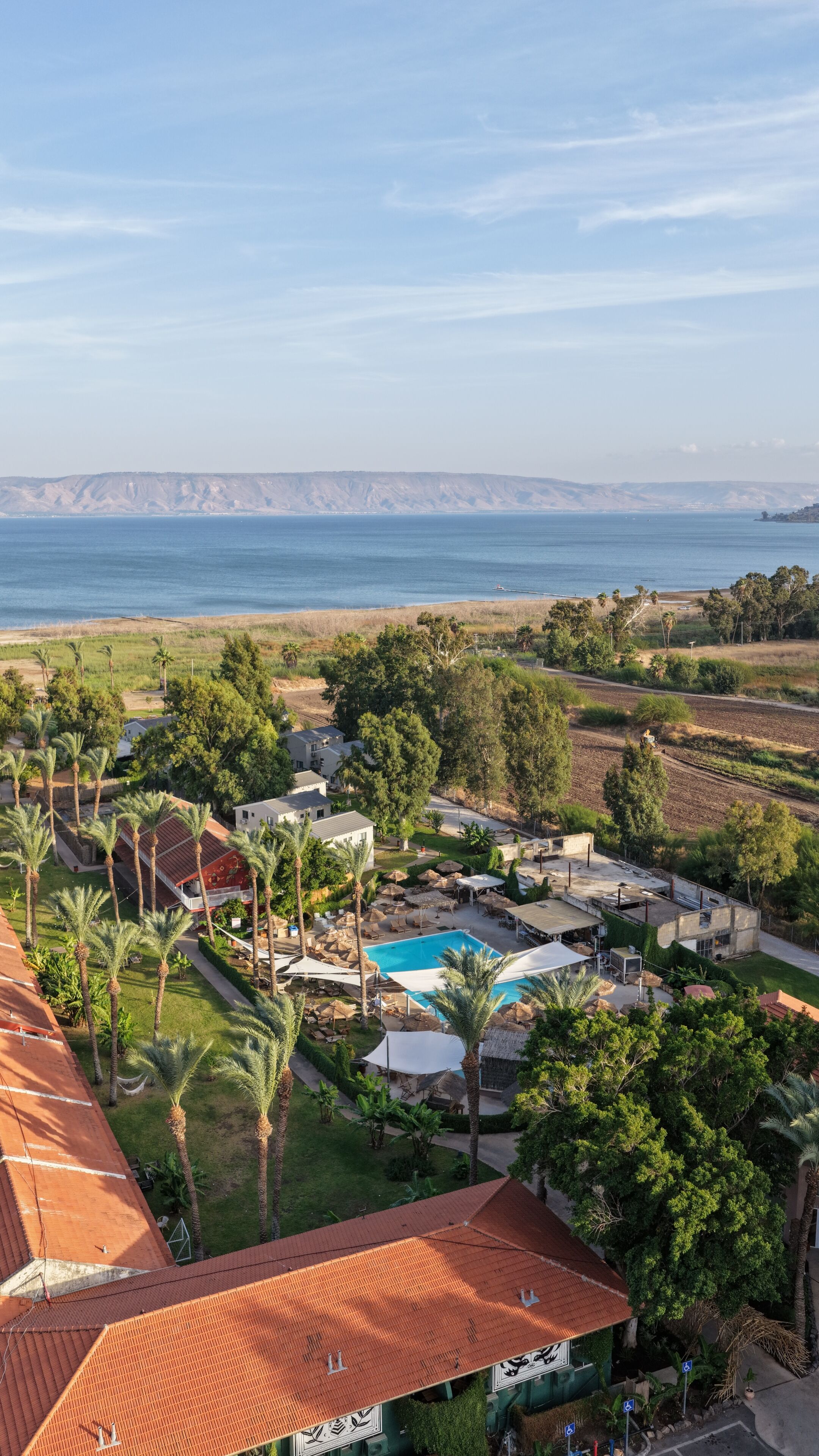 Un resort con piscina, palmeras y vista al océano.