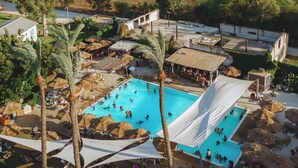 A resort with a swimming pool, palm trees, and a view of the ocean and hills. - Solaya Kineret (Migdal)