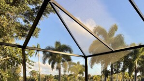 Una piscina con fuente, rodeada por una estructura de cristal, con vistas a palmeras y una zona verde.