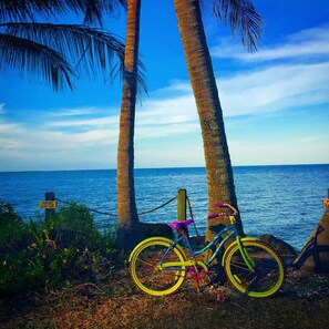 Sun-loungers, beach towels - Southwest Florida Home Pool Fishing Biking Hiking Sun & Fun (Bokeelia)