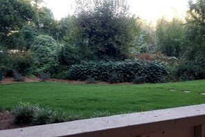 Property grounds - 1 BR Condo - Location, Location, Location! Easy Walk to Campus & Stadium! (Athens)