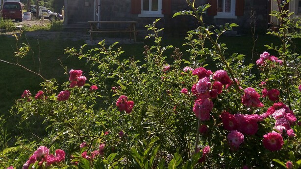A stone building with multiple windows and a garden with pink flowers in the foreground. - Gite les Granites with balcony less than 100m from the lake (Gérardmer)