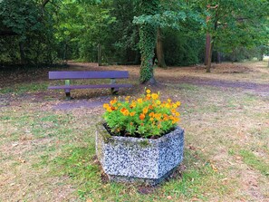 Photo non classée, 5 sur 15, bouton