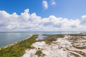 Eine Küstenlandschaft mit Strand, Wasser und Vegetation.