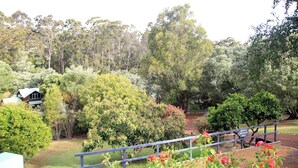 A residential area with a house surrounded by dense trees and a sign indicating 'Service Vehicles Only'.