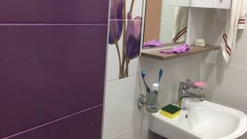 Combined shower/tub, hair dryer, towels, shampoo