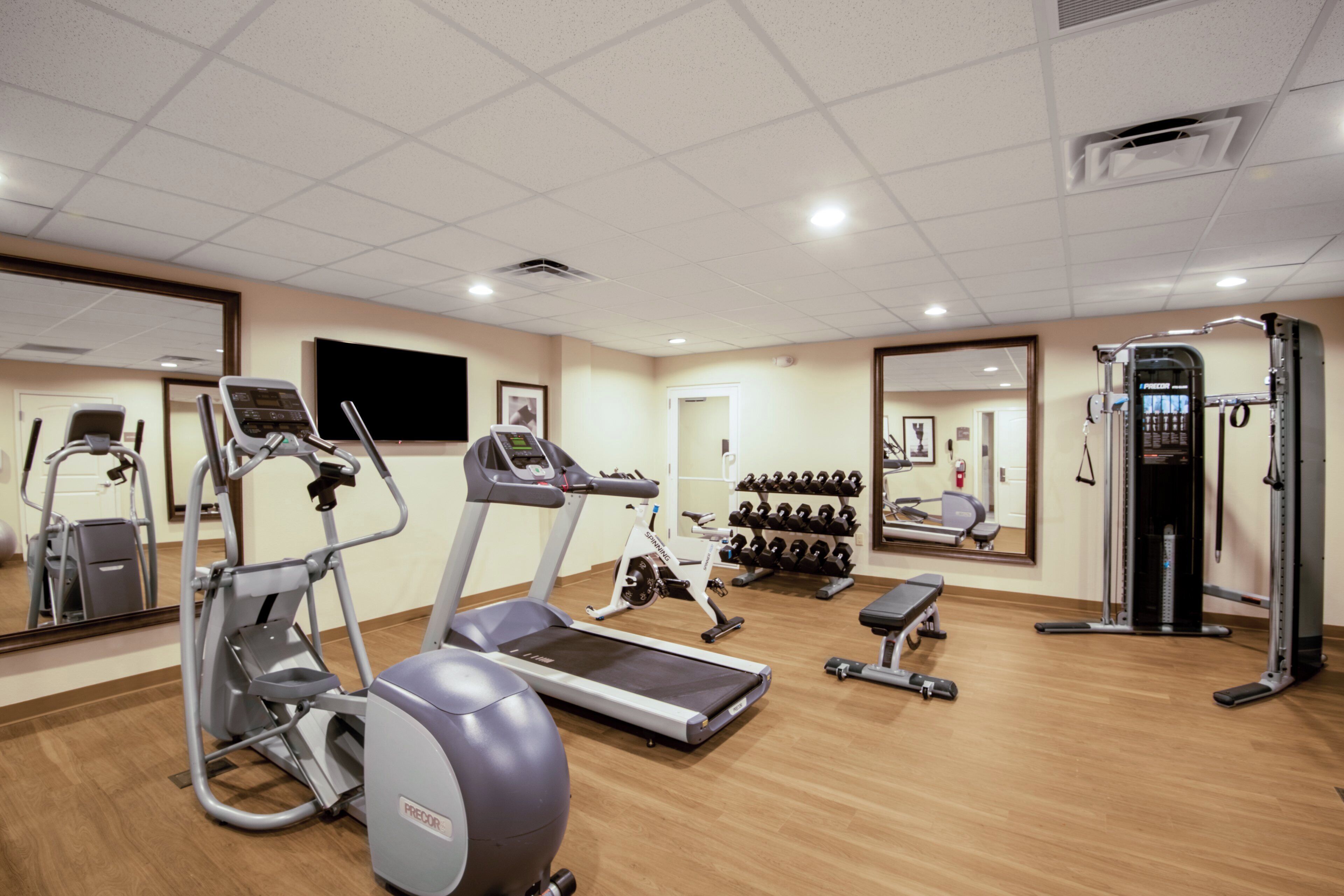 A gym with treadmills, ellipticals, free weights, and a mirrored wall.