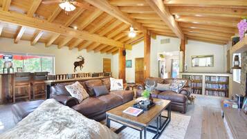 Smart TV, fireplace, video library