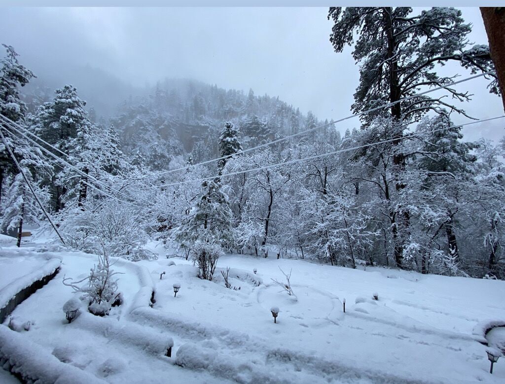 滑雪运动