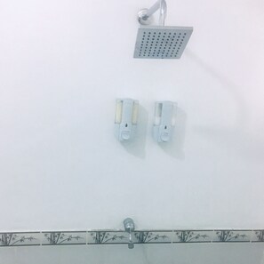 Hair dryer, towels, shampoo, toilet paper
