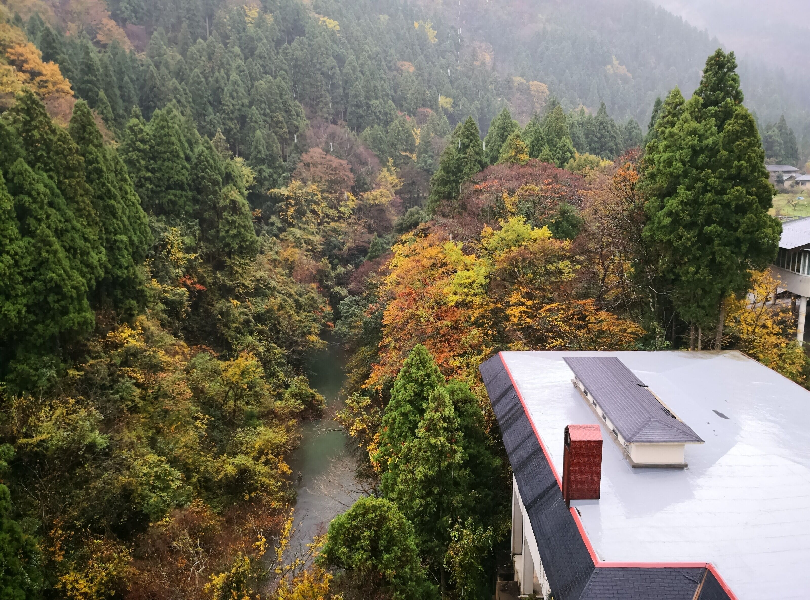 A view of a valley with a river, surrounded by dense forest and a building with a red roof.