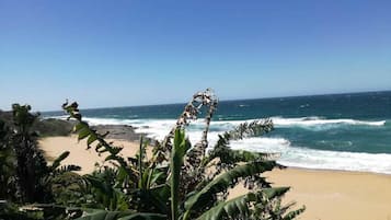 Basic Room, 1 Queen Bed | Beach/ocean view