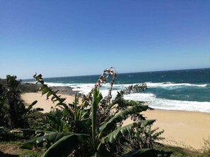 Vue sur la plage ou l’océan