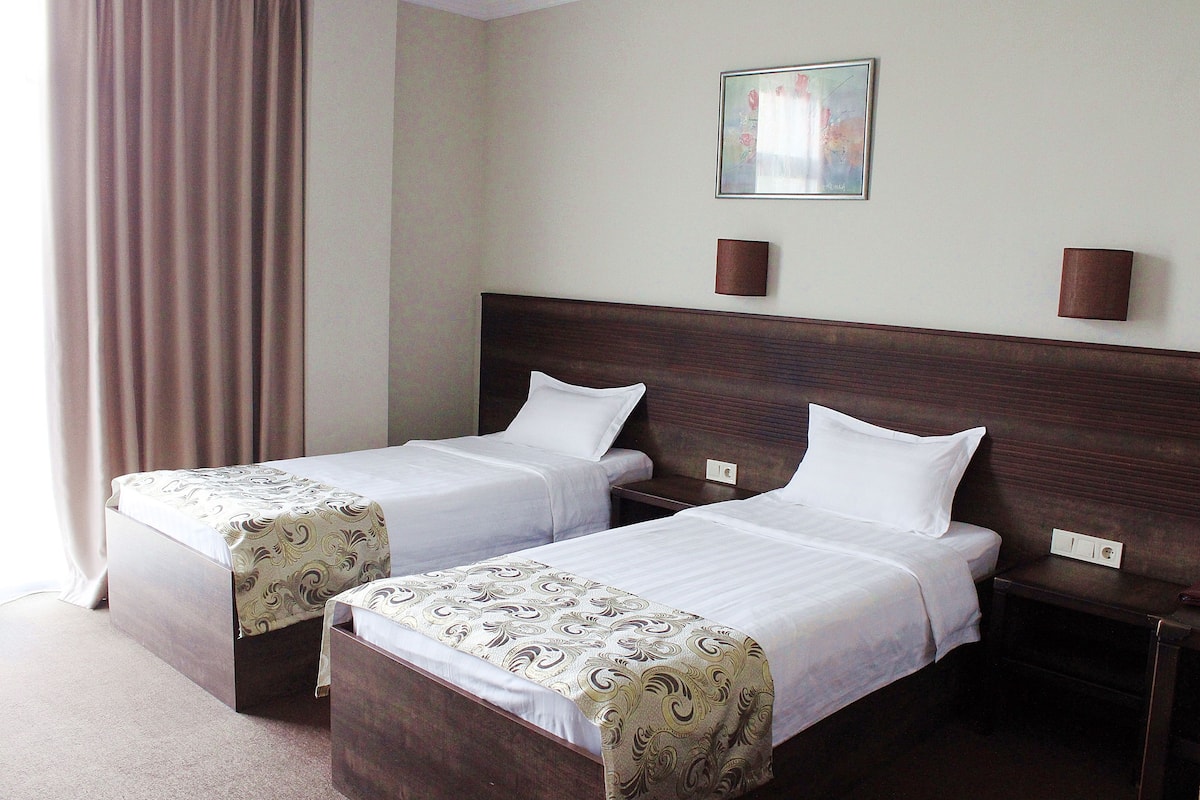 Habitación de hotel con dos camas individuales, cabecero de madera, mesita de noche, lámpara de pared y un cuadro.