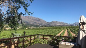 Balcony - Wellington Country House (Wellington)