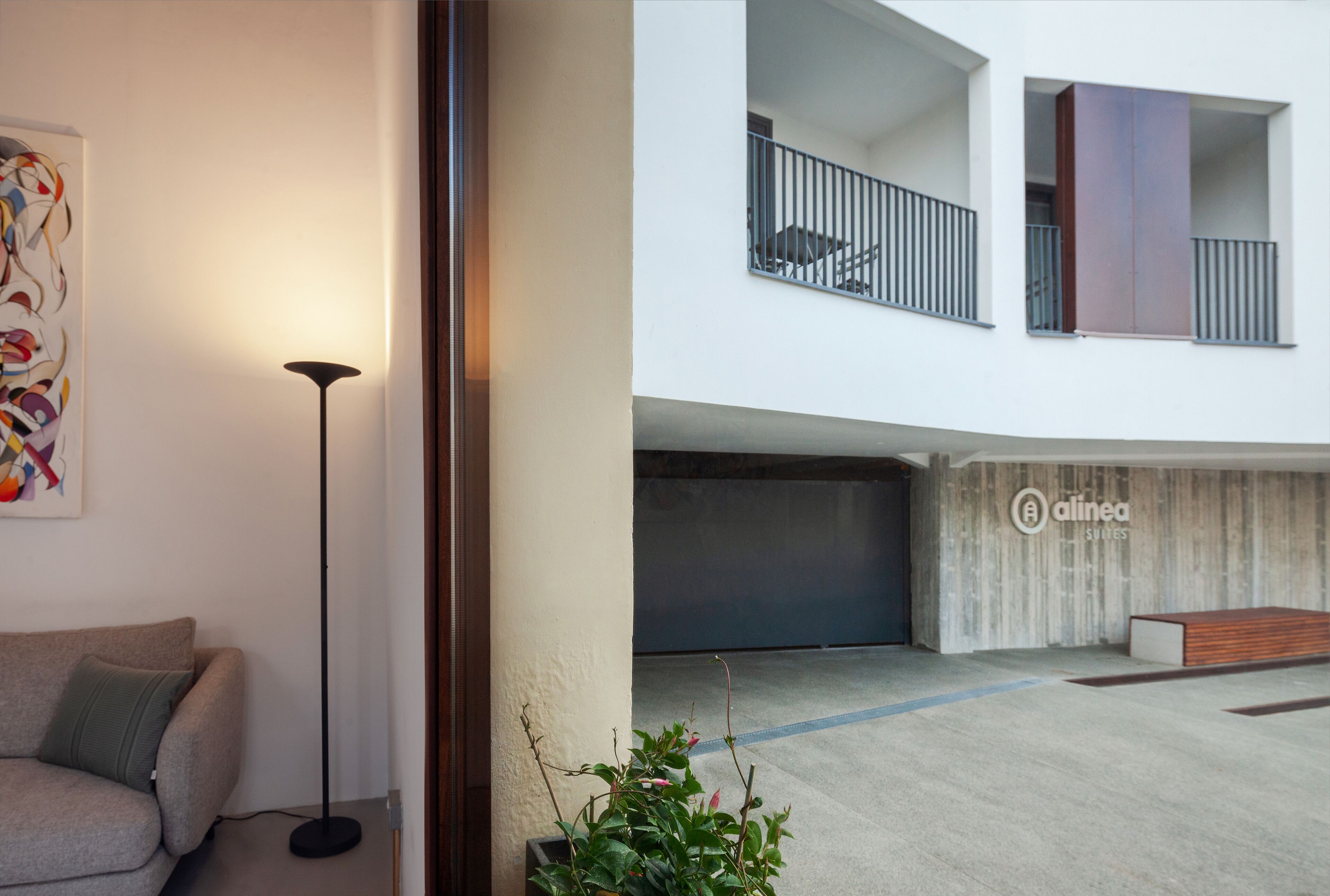 A modern apartment with a grey sofa, a standing floor lamp, and a potted plant.