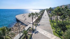 Un paseo marítimo con sendero pavimentado, palmeras y vista al mar.