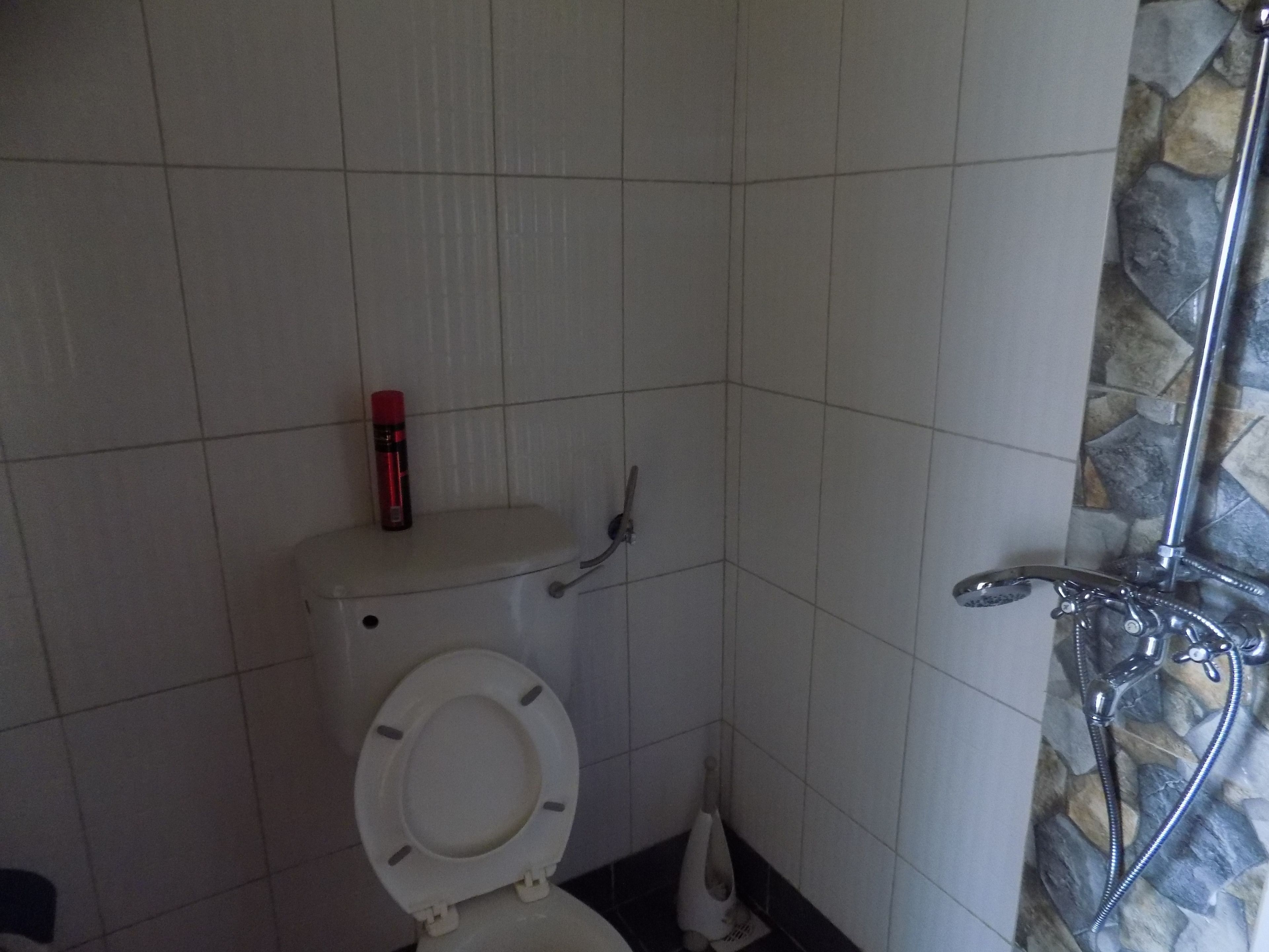 Ein Badezimmer mit Toilette, Dusche und einer roten Flasche auf dem Toilettenbecken.