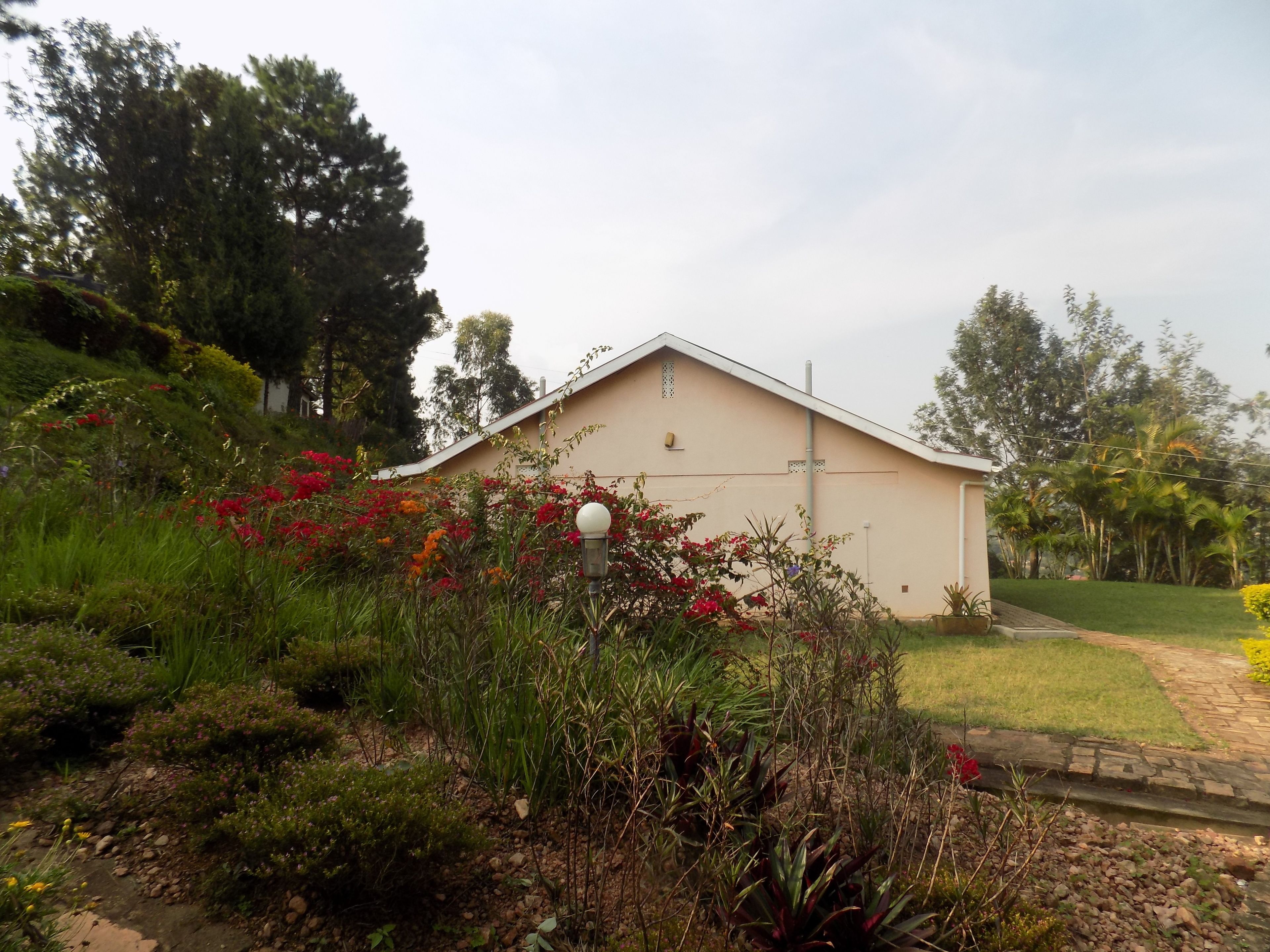 Un edificio pequeño con techo inclinado, rodeado de diversas plantas y flores.