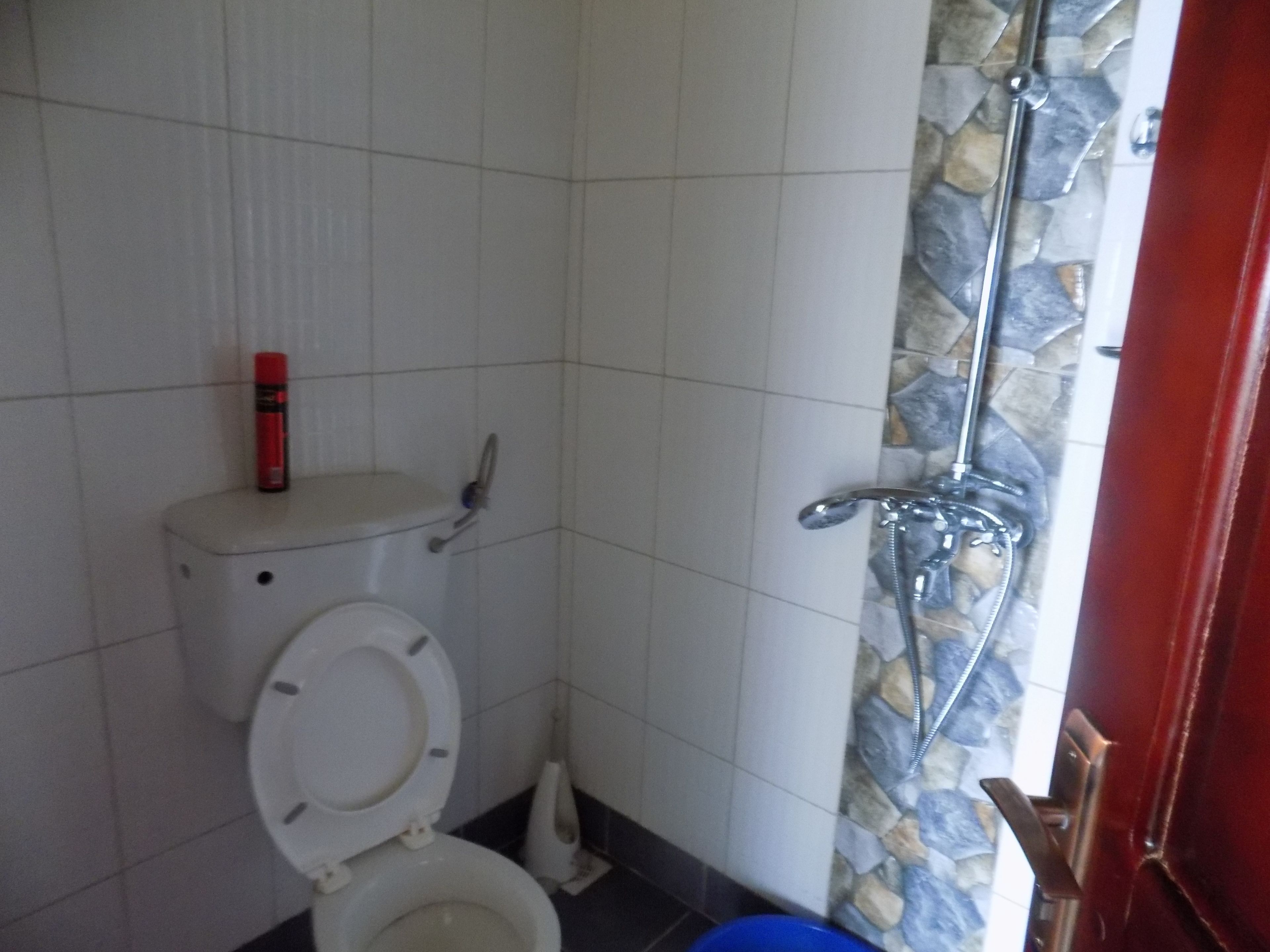 Un baño con inodoro, ducha y una puerta roja.