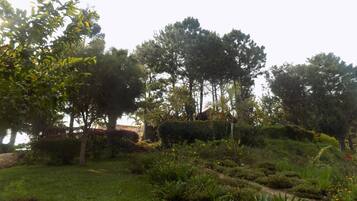 Jardin