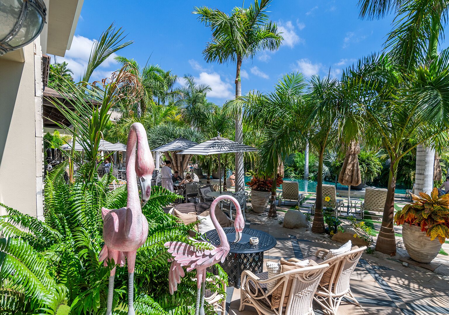 A tropical outdoor area with flamingo statues, wicker furniture, and a pool.