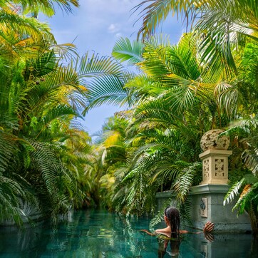 A pool surrounded by lush palm trees and a stone structure with a spherical top.