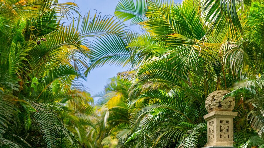 Royal River, Luxury Hotel - Adults Only