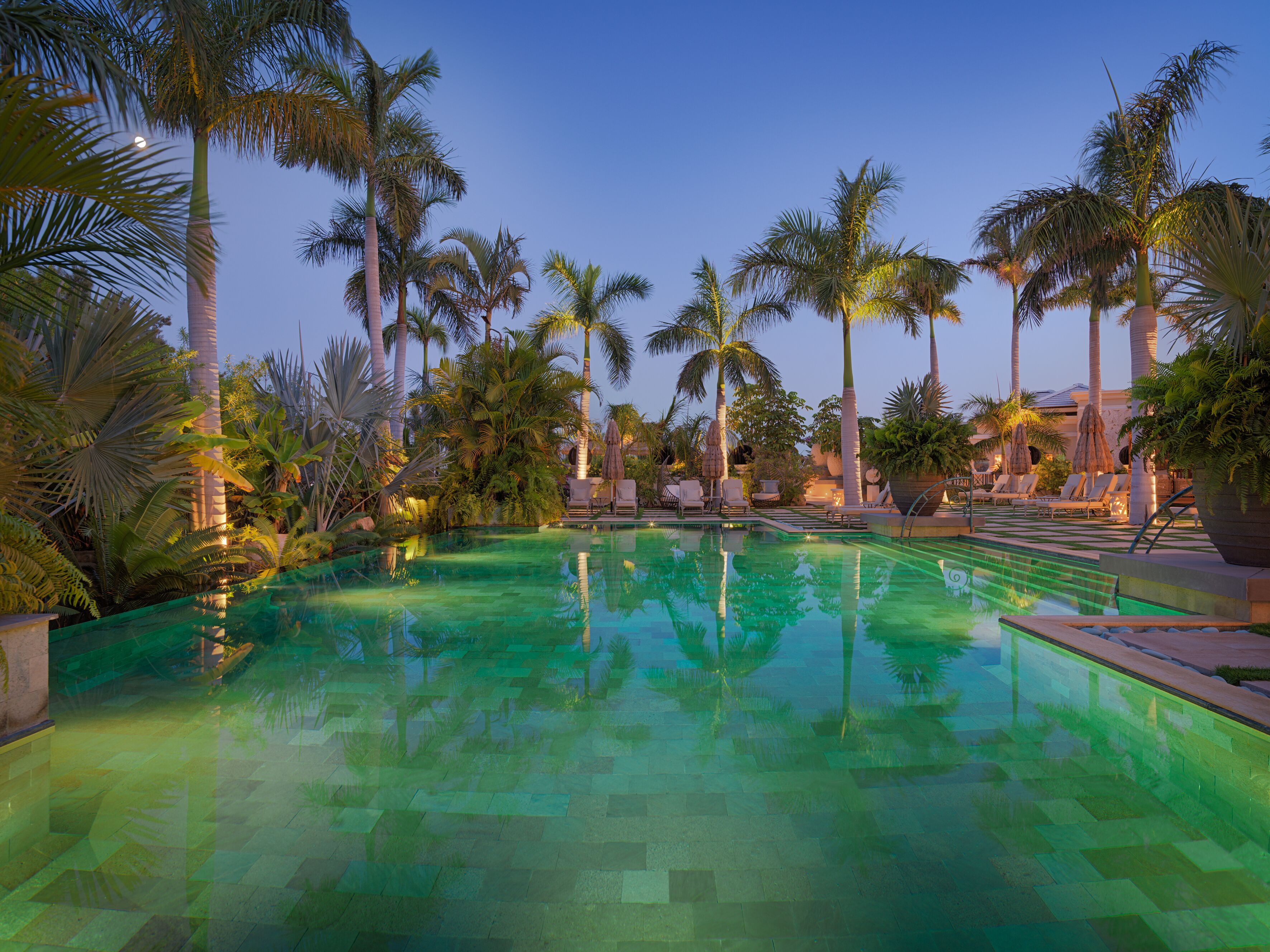 A pool area with palm trees, lounge chairs, and a clear blue sky.