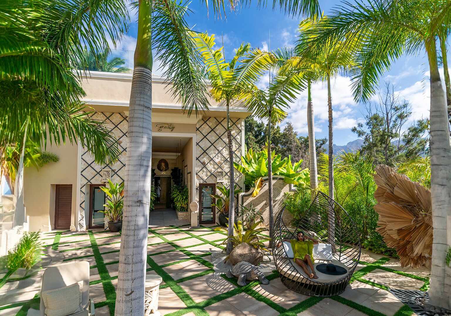 A tropical resort with a palm tree-lined entrance, a circular seating area, and a clear view of the mountains in the background.