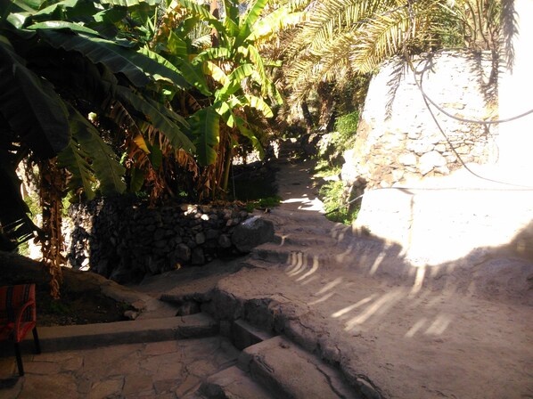 Jardin
