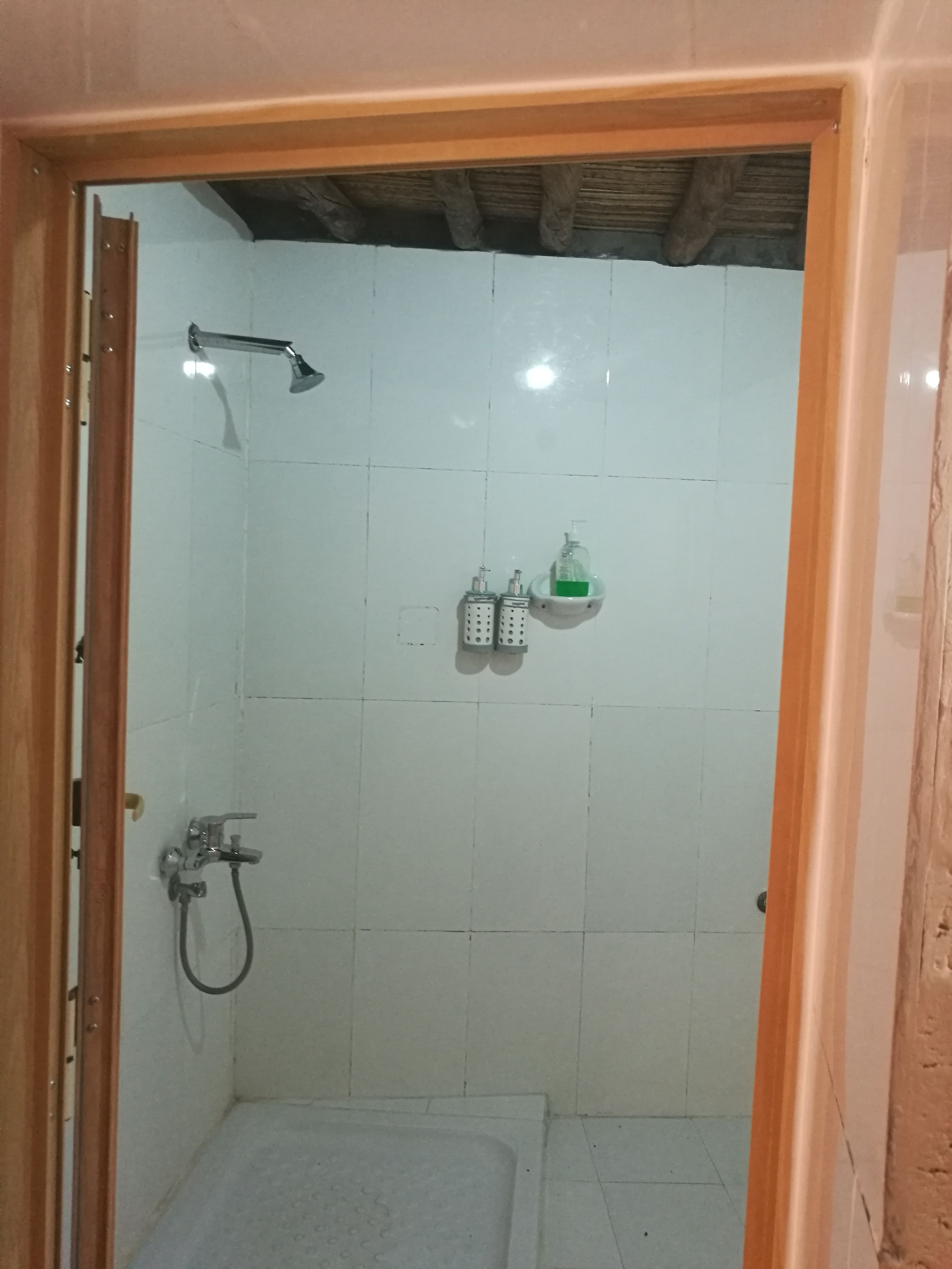 Ein Duschbereich mit Duschkopf, Handbrause und zwei Shampoo-Flaschen.