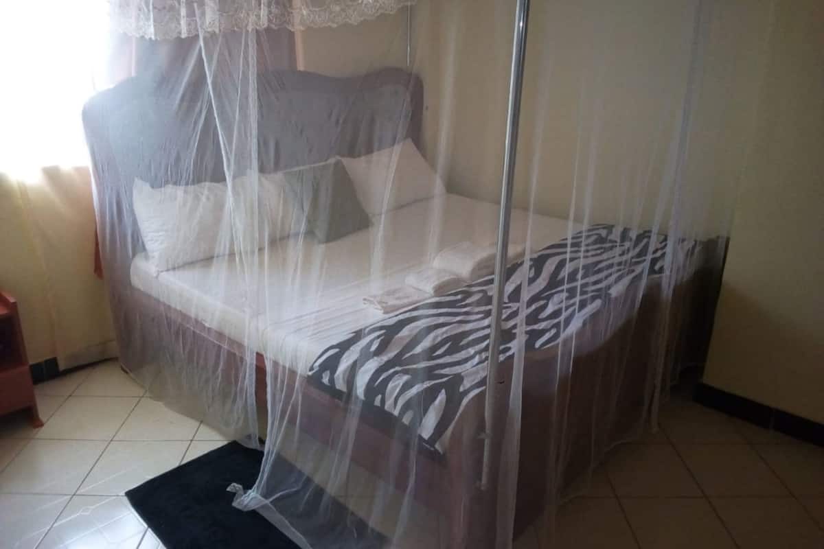Escritorio, wifi gratis y ropa de cama