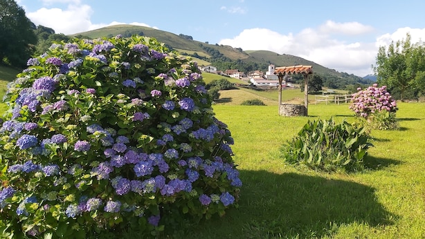 Un jardín exuberante con bojes, un pérgola de madera y un paisaje rural con casas y colinas al fondo.