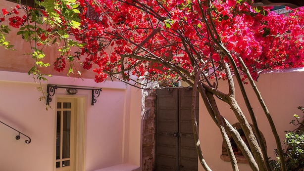 A building with a pink exterior, a white door, and a stone wall. - Lefkada's traditional house / cozy yard (Lefkada)