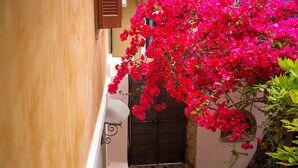 A narrow alleyway with a door and a small garden area with pink flowers. - Lefkada's traditional house / cozy yard (Lefkada)