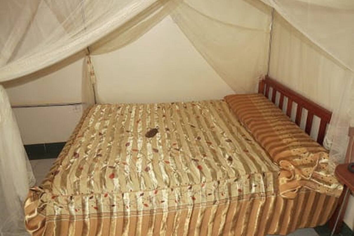 Ein Einzelbett mit einer gestreiften Bettdecke und einem Holz-Kopfteil.