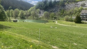 A serene landscape with a pond, grassy fields, and a forested hill. - Haus Onel 2 (Nordenau)