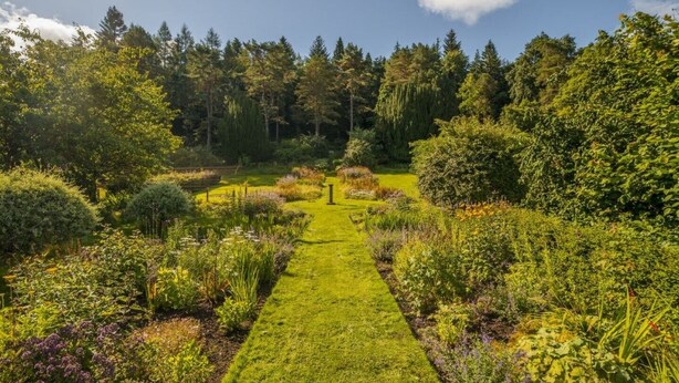A garden pathway leading through a variety of plants and trees.