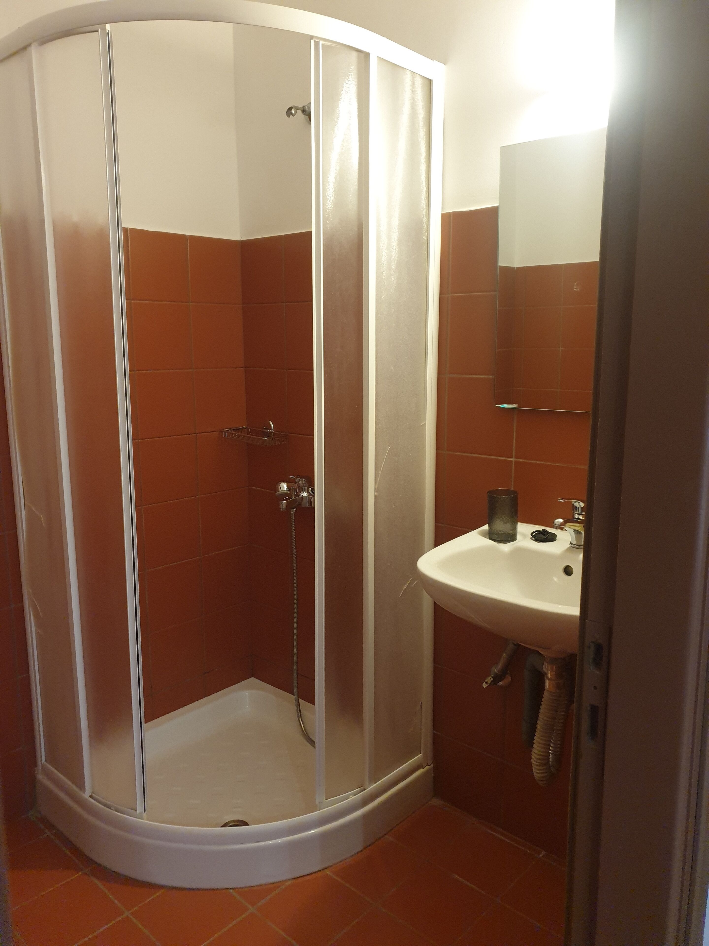 A shower enclosure with a glass door, a sink, and a mirror.