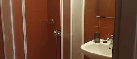A shower enclosure with a glass door, a sink, and a mirror.