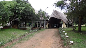 A rustic building with a thatched roof, surrounded by trees and a dirt path leading to it.