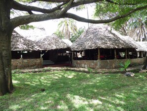 Garden - Mara Ndovu Lodge (Maasai Mara)
