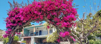 Beautiful house with garden 3 minutes from the beach