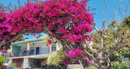 Beautiful house with garden 3 minutes from the beach