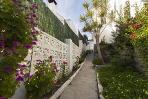 Terrain de l’hébergement 