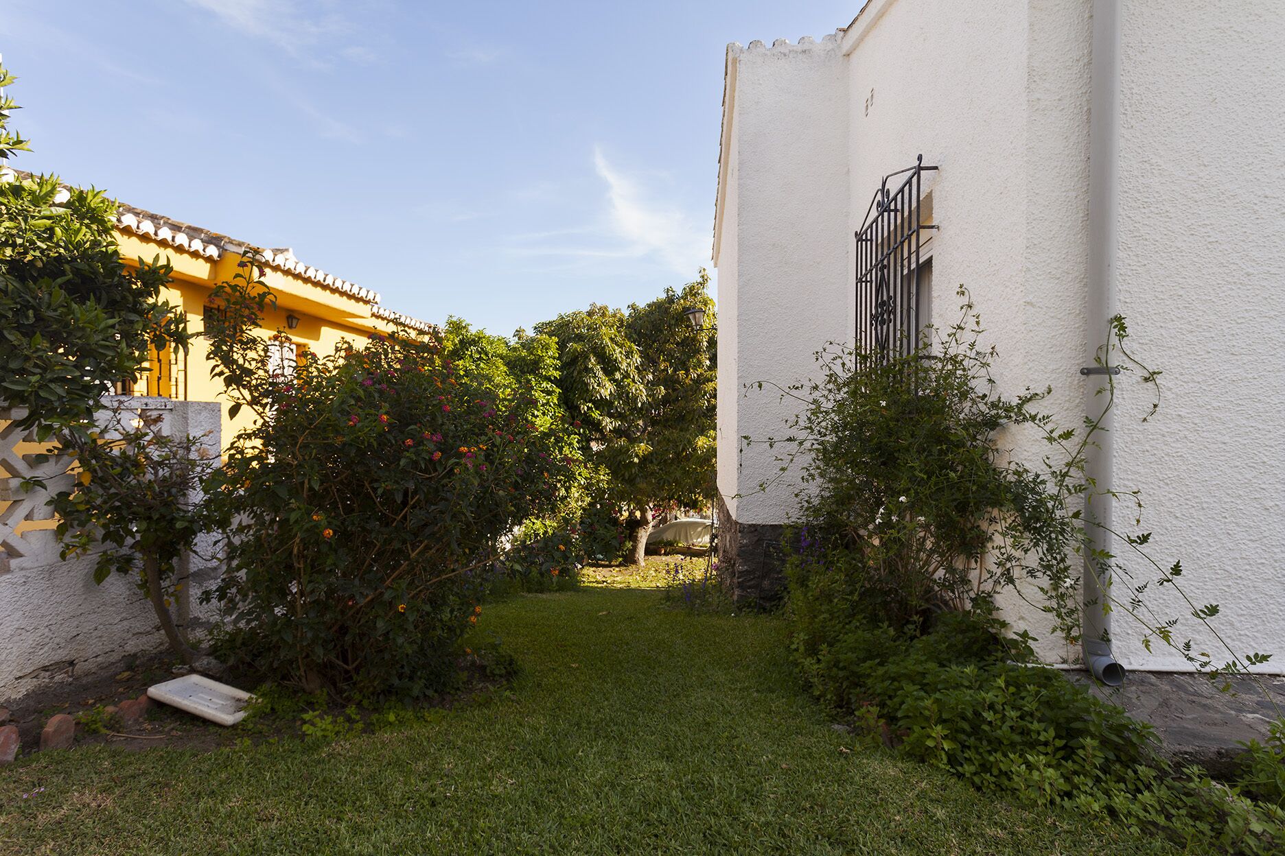 A courtyard with a white building, a yellow building, and a small garden area.